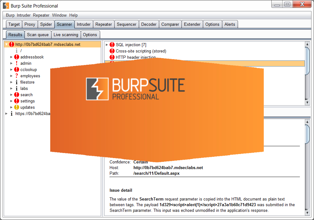 scan website with burp suite